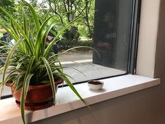 -迪欧咖啡·中西餐融合菜(平江万达旗舰店)