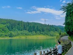 -武陵山森林公园