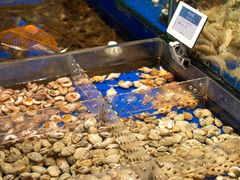 -高佳庄·舟山海鲜(海景旗舰店)