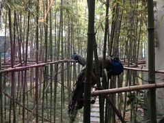 -苏州环秀晓筑养生度假村