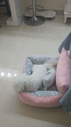 -肌理言健康美肌驻颜所