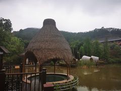-美的鹭湖森林度假区