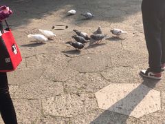 -杭州西湖风景名胜区-满觉陇四眼井