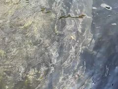 -天源渔港农庄
