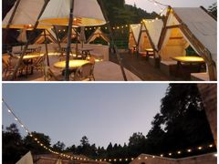 -金鱼妈妈 山野·食趣(荫山街店)