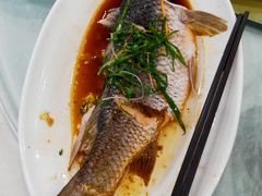 清蒸草鱼-澳门酒家(南航明珠店)