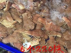 -兰坡海鲜市场