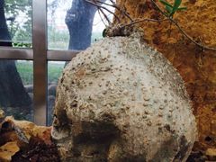 -南通洲际绿博园