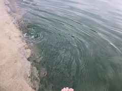 -百里峡七彩艺术小镇