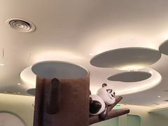 -眉州东坡·熊猫主题餐厅(枫蓝店)