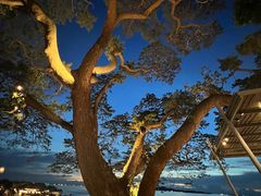 -网红落日悬崖餐厅 The Sky Gallery