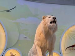 -陕西自然博物馆