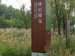-东郊湿地公园