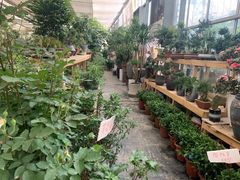 -三圣花乡旅游区