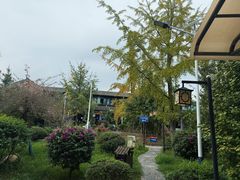 -九尺赵老四鲜鹅肠火锅