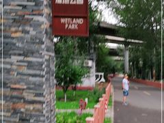 -东郊湿地公园