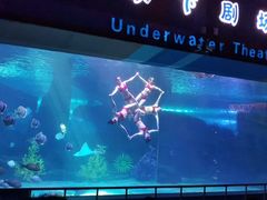 -泉城欧乐堡海洋极地世界