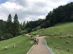 -神户市立六甲山牧场