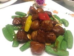 -骏莱海鲜鱼港(五角场店)