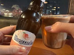 -武汉知音号