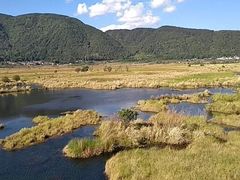 -腾冲北海湿地