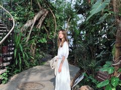 -北京植物园-展览温室