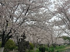 -堤角公园