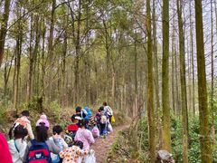 -宾果蒙特梭利托育儿童之家幼儿园(爱琴海店)