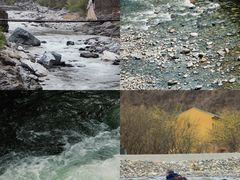 -黑河国家森林公园
