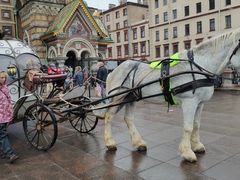 -滴血救世主教堂