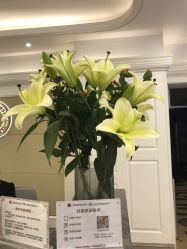 -伊丽莎白医疗美容