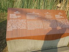 -白鹭湾湿地公园