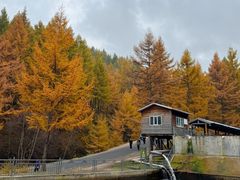 -苏木山森林公园