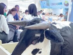 -红星前进面包牛奶公司(君太店)