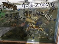 -海盗餐厅
