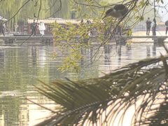 -西湖天地