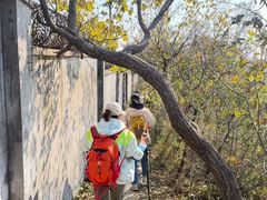 -北京十三陵国家森林公园蟒山景区