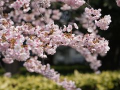-静安雕塑公园