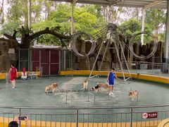 -泉州海丝野生动物世界