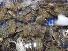 -济南海鲜大市场