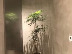 -二酉书店TOYOU BOOKS