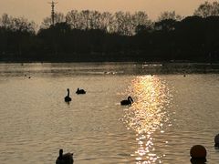 -上海野生动物园老虎餐厅