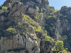 -大岭沟猕猴桃谷风景区