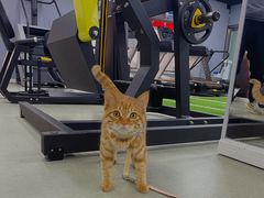 -即刻自助健身·私教馆(对外经贸店)