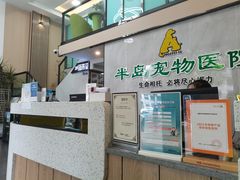 -半岛宠物医院24小时(科华中路店)