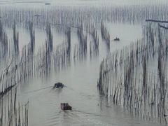 -北岐滩涂