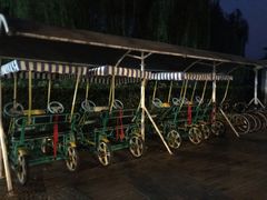 -太湖湖滨国家湿地公园-停车场