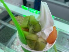 -Salud撒露欧洲冻酸奶(五道口购物中心店)