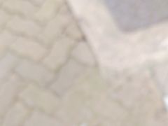 -珍妮曲奇聪明小熊(上环店)