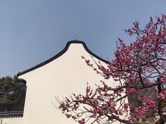 -红梅公园